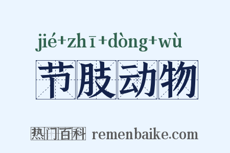 节肢动物是什么意思的图片
